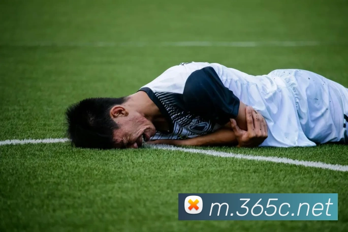 bet365中国官网登录入口APP 高清赛事图